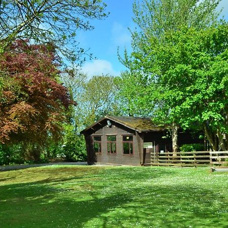 37 Trevithick Court, Tolroy Manor Villa Hayle Dış mekan fotoğraf